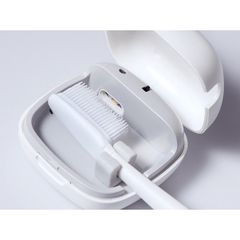 Bàn Chải Đánh Răng Tiệt Trùng Nắp Bàn Chải Đánh Răng Nhật Bản.