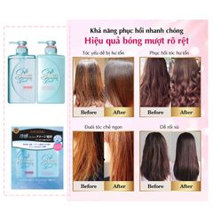 Bộ đôi gội xả Sạch Dầu, Sạch Gàu, Mát Lạnh Tsubaki Premium Cool Nhật Bản (490ml/chai)