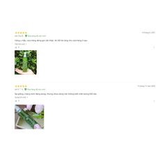 Gel Tẩy tế bào chết Trà xanh Santa Marche Green Tea Clear Peeling Nhật Bản 200ml