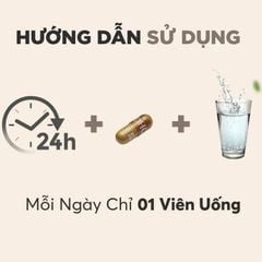 Thực Phẩm Bảo Vệ Sức Khỏe DHC Zinc Bổ Sung Kẽm