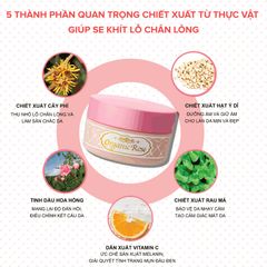 Gel Dưỡng Ẩm Se Khít Lỗ Chân Lông MEISHOKU Organic rose skin Conditioning Gel 90g