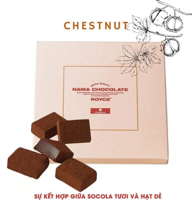Nama Chocolate Royce Socola Tươi Hộp 20 Viên