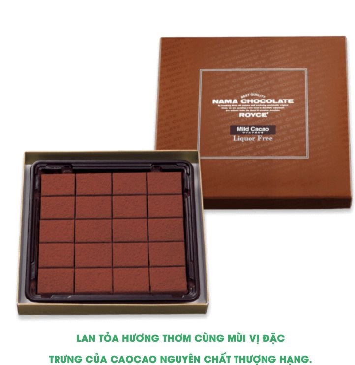 Nama Chocolate Royce Socola Tươi Hộp 20 Viên
