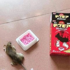 Thuốc diệt chuột Dethmor Nhật Bản