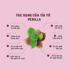 Trà tía tô Nhật Bản Shiso hộp 22 túi lọc