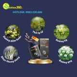  Estromen Gold Viên Uống Hỗ Trợ Tăng Cường Sinh Lý Nam (Hộp 24 viên) 