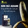 Sìn Sú Adam