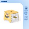 Ghế Mini Xếp Nhựa Duy Tân