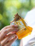  OTE Anytime Bar - Bánh năng lượng yến mạch - Banana 