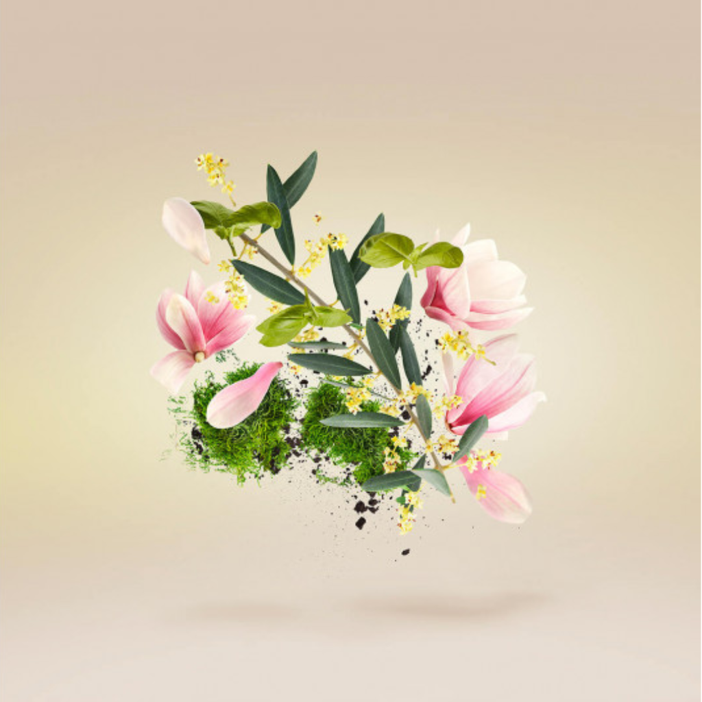 Nước hoa Xerjoff Casamorati Eau de Parfum FIORE D'ULIVO