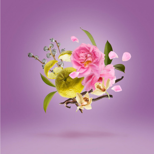 Nước hoa Xerjoff Casamorati Eau de Parfum LA TOSCA