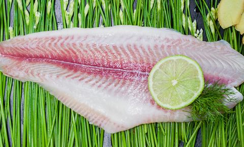  FROZEN PANGAISUS UN-TRIMMED FILLET 