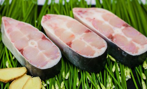  FROZEN PANGASIUS STEAK 