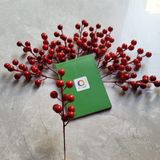  Combo 10 nhánh Đào Đông trang trí tết 