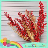  Combo Đào Đông, cành táo, rẽ quạt trang trí tết 