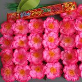  Set 20 hoa đào giả trang trí Tết 