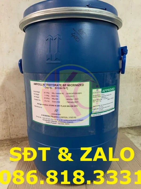  Ampicillin - Ampicilin Trihydrate 