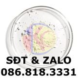  Ascorbic Acid - Vitamin C - C6H8O6 