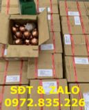  Đồng Bi - Đồng Đỏ - Copper Ball Anode (MITSUBISHI) 