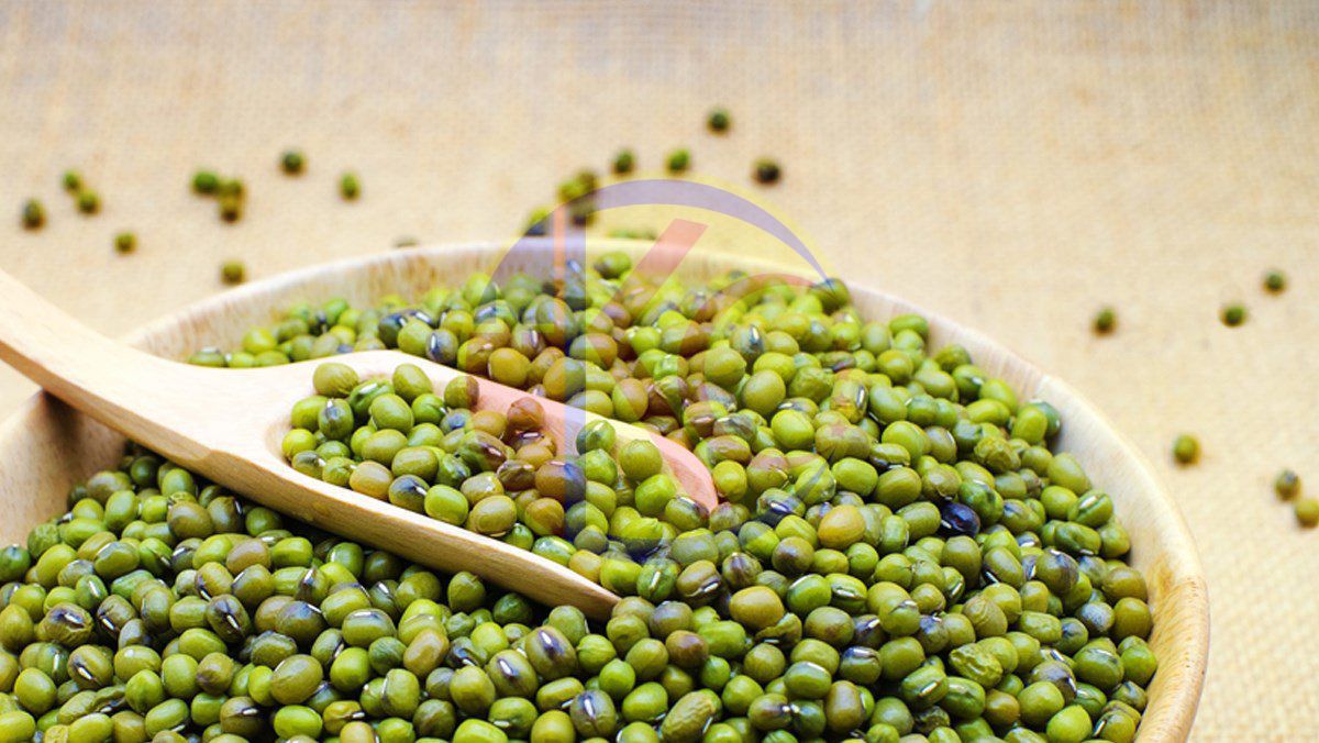  Hương Đậu Xanh - Mung Bean Flavor - Hương bột đậu xanh 