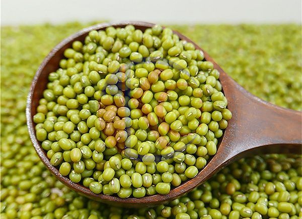  Hương Đậu Xanh - Mung Bean Flavor - Hương bột đậu xanh 
