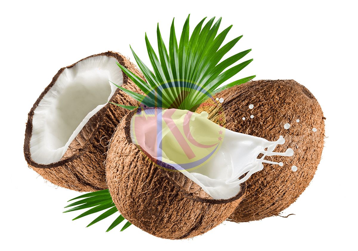  Hương Dừa - Coconut Flavor 