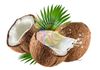 Hương Dừa - Coconut Flavor