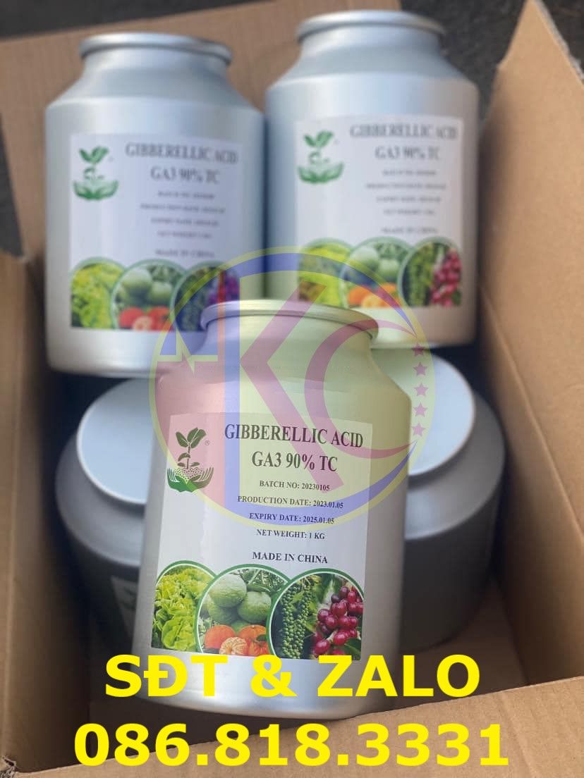  Gibberellic Acid 90% (GA3) - Axit Gibberellic - C19H22O6 
