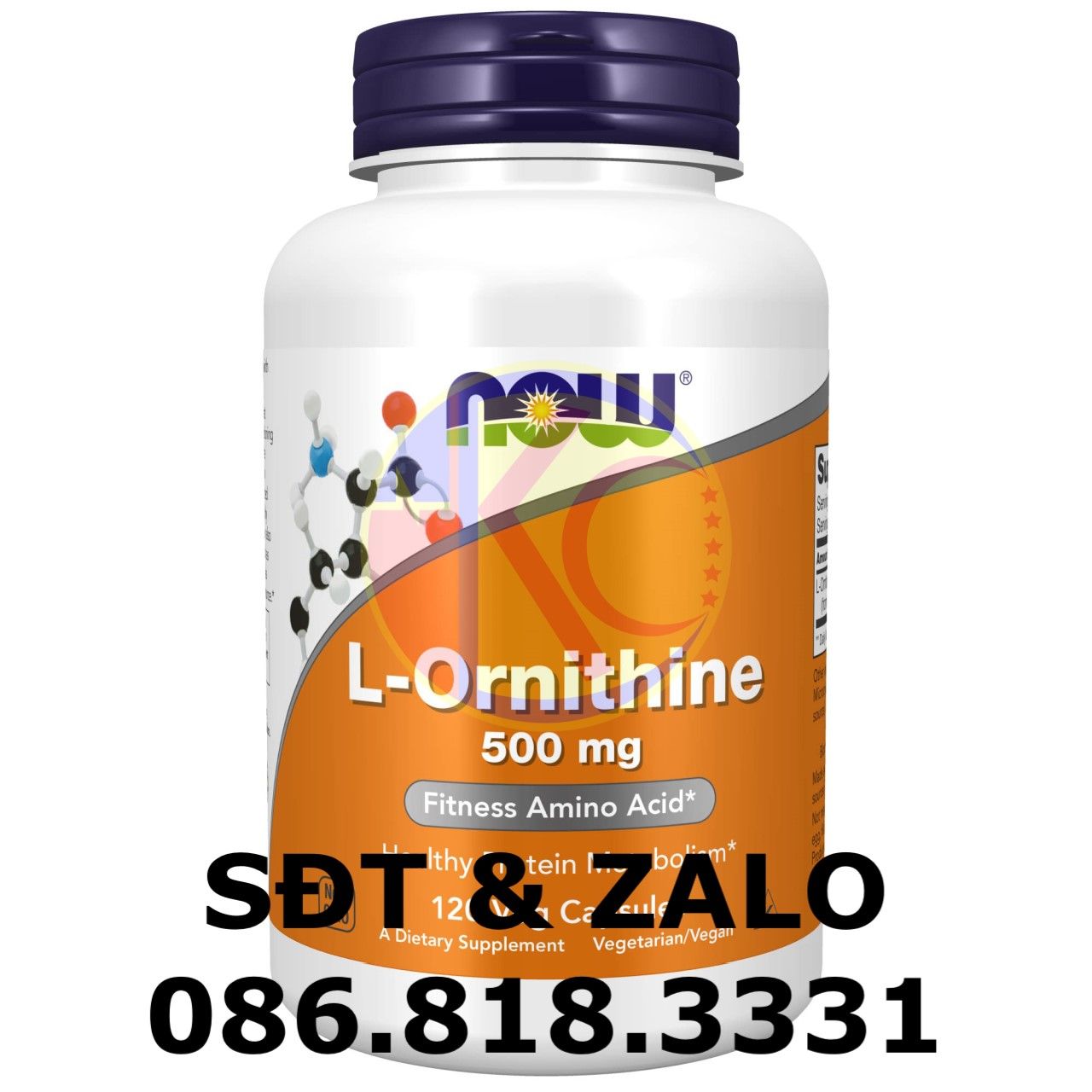  L-Ornithine - C5H12N2O2 
