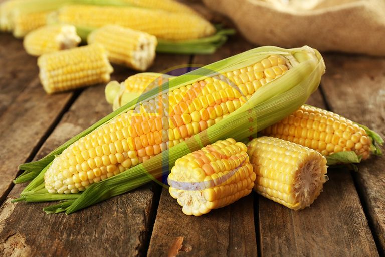  Hương Ngô - Hương Bột Ngô thực phẩm 