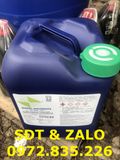  Nickel Sulfamate - Niken Sulfamat - Ni(SO3NH2)2 