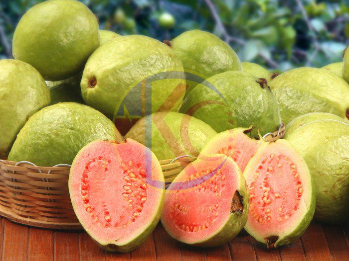  Hương Ổi - Hương quả Ổi - Guava Fragrance 