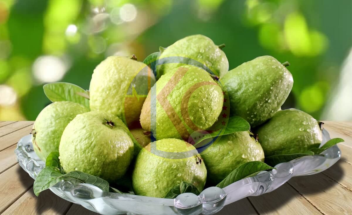  Hương Ổi - Hương quả Ổi - Guava Fragrance 