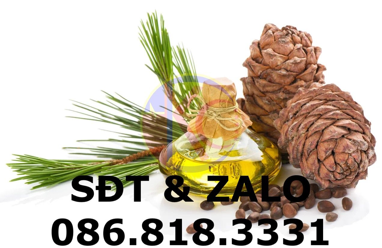  Dầu Thông (Pine Oil) - C10H17OH 