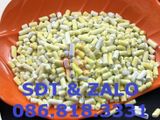  Potassium Amyl Xanthate - Kali Amyl Xanthat - C5H11OCSSK 