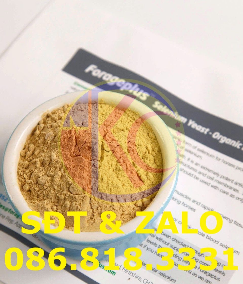  Selenium Yeast - Men Selen - Selen hữu cơ 
