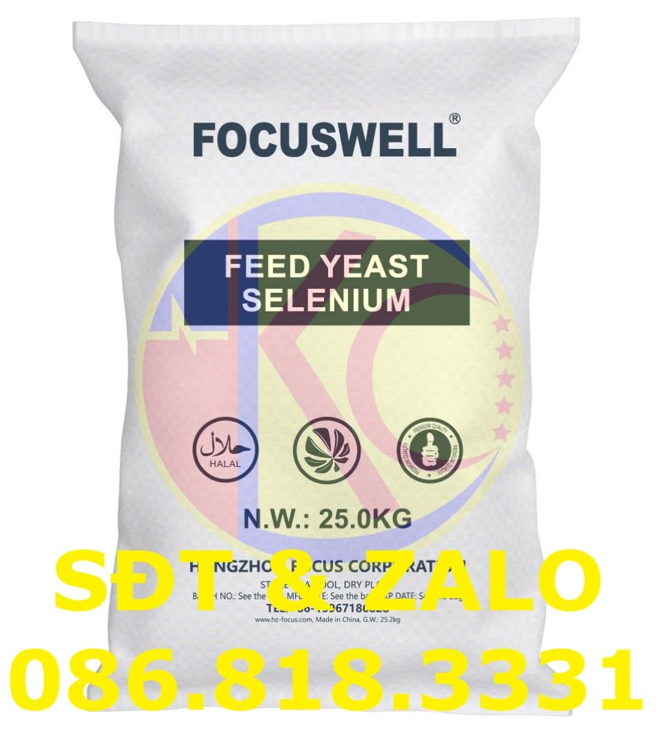  Selenium Yeast - Men Selen - Selen hữu cơ 