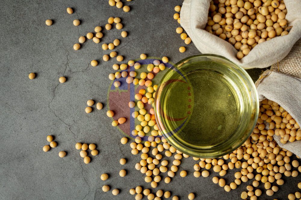 Soy Lecithin - Dầu đậu nành Lecithin - E322 – KDCCHEMICAL