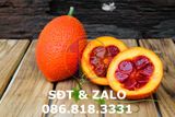  TINH DẦU GẤC NGUYÊN CHẤT 