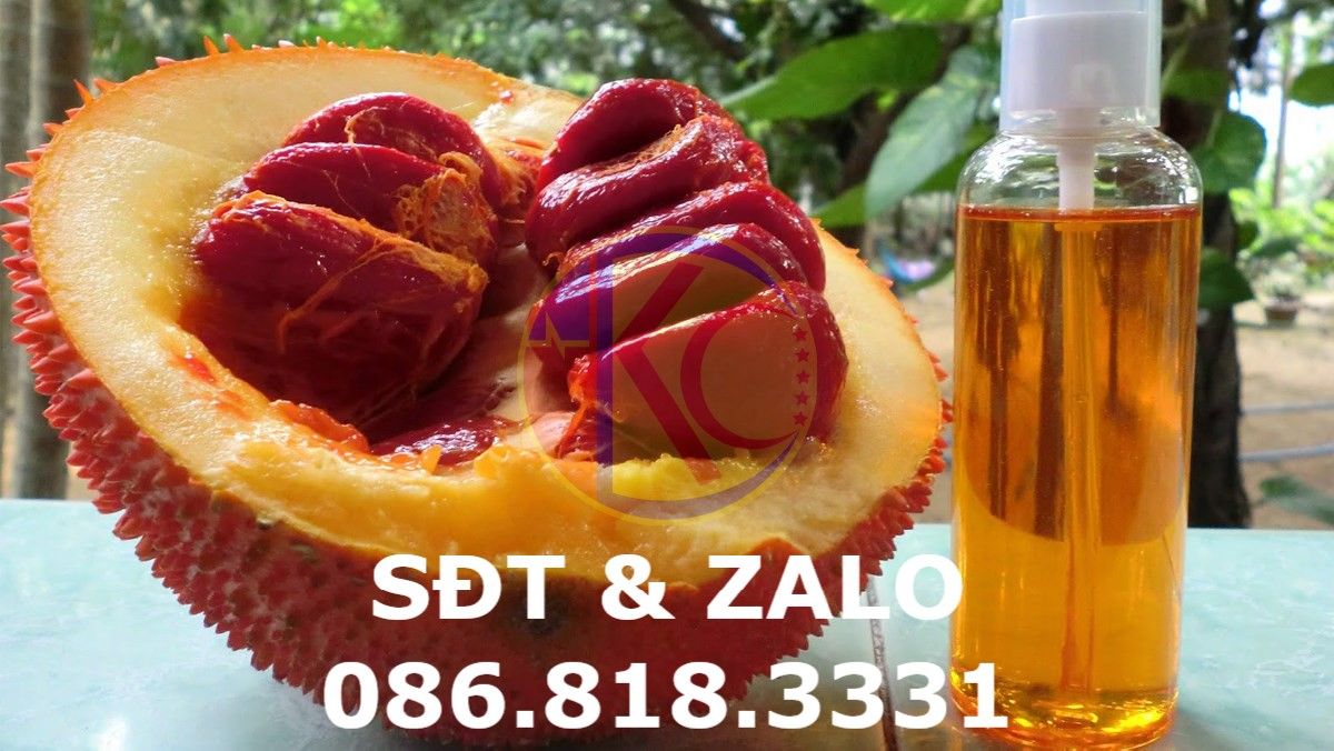  TINH DẦU GẤC NGUYÊN CHẤT 