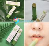  Son Dưỡng Mềm Môi Trà Xanh Innisfree Green Tea Lip Balm 