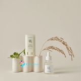 Thanh Lăn Chống Nắng Beauty Of Joseon Matte Sun Stick Mugwort + Camelia SPF50+/PA++++ 18g 