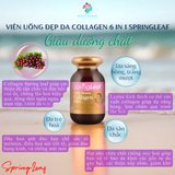  Viên uống collagen Springleaf Inner Beauty Collagen 6-In-1 Advanced 
