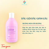  Dầu gội đầu chống gàu giảm nấm Tenzero Hàn Quốc 300ml 