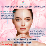 Viên uống collagen Springleaf Inner Beauty Collagen 6-In-1 Advanced 