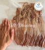  Khô Mực Câu Đặc Biệt - Cà Mau - SIZE 30-35 Con/kg 
