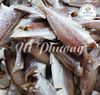  Khô Cá Đù Nguyên Con  - 3 nắng - Size 18-20 Con/kg - Cà Mau 