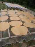  Bánh phồng tôm - Đặc Sản Cà Mau 