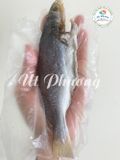  Khô Đù 3 nắng - Size 18-20 con/kg 