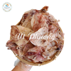  Khô Mực Câu đặc biệt - Size 90-100 con/kg 